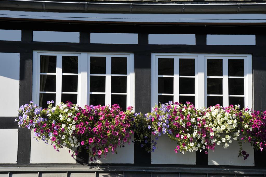 Landidyll Hotel Haus Hochstein Эслоэ Экстерьер фото